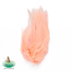 Saltwater Prawn Pink